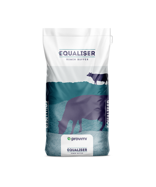 Equaliser Cream