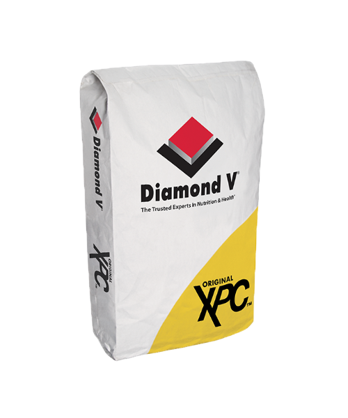 Diamond V Original XPC